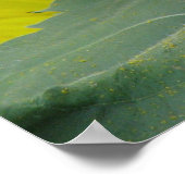 ひまわりシリーズ ポスター (角)