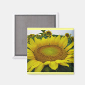 ひまわりシリーズ マグネット (正面/裏面)