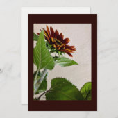 ひまわりシンプルの手書き用メモカード 招待状 (正面/裏面)