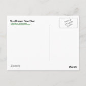 ひまわりシースター – はがき (裏面)