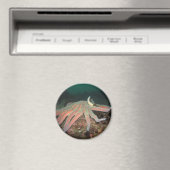 ひまわりシースター – マグネット (インサイチュ (食洗機))