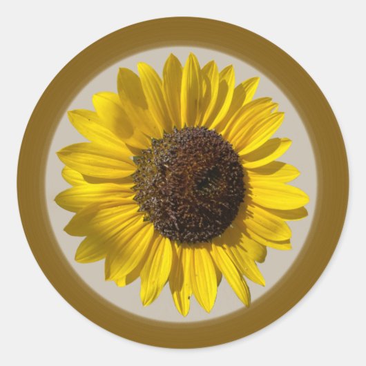 ひまわりシール ラウンドシール (正面)
