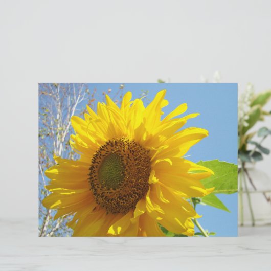 ひまわりスクラップブック紙イエローフローラ夏 (スタンド正面)