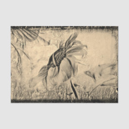 ひまわりスケッチアートヴィンテージアンティークテクスチャ 薄葉紙