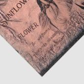 ひまわりスケッチセピアヴィンテージアンティークエフェメラ 薄葉紙 (詳細)