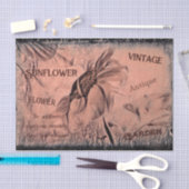 ひまわりスケッチセピアヴィンテージアンティークエフェメラ 薄葉紙 (クラフト)