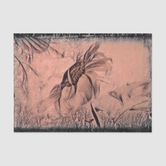 ひまわりスケッチセピアヴィンテージアンティークデコページ 薄葉紙 (正面)