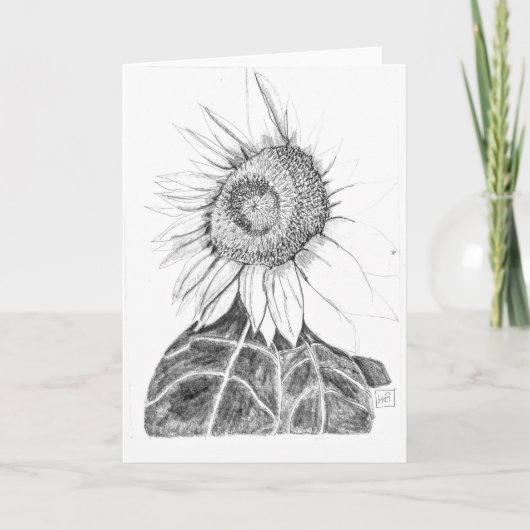 ひまわりスケッチ カード (正面)