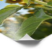 ひまわりスタイル フォトプリント            (角)