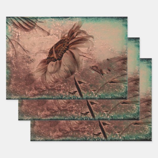 ひまわりセピアグリーン古いヴィンテージアンティークテクスチャ ラッピングペーパーシート (セット)