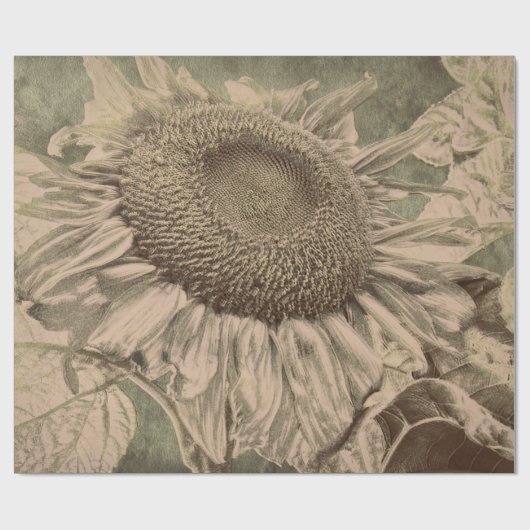 ひまわりセピアトーンブラウンアートテクスチャーのデコップ ラッピングペーパー (フラット)