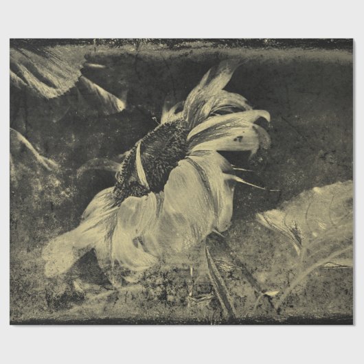 ひまわりセピアヴィンテージアンティークグランジテクスチャ ラッピングペーパー (フラット)