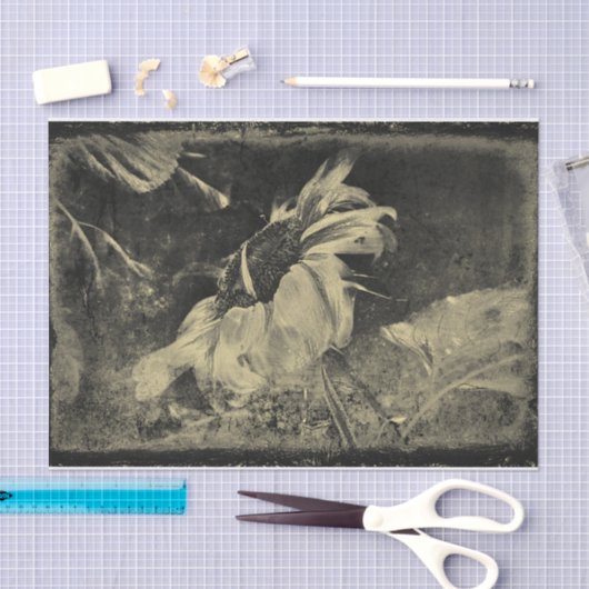 ひまわりセピアヴィンテージアンティークグランジテクスチャ 薄葉紙 (クラフト)