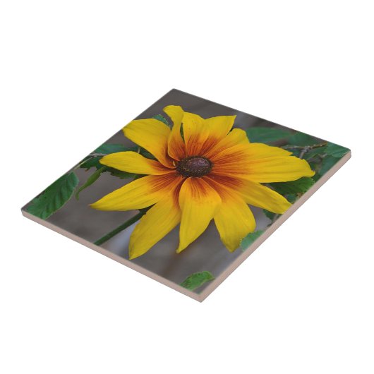 ひまわりセラミックタイル タイル (側面)