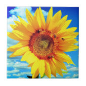 ひまわりセラミックタイル タイル (正面)