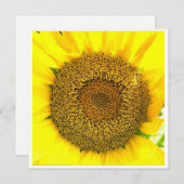 ひまわりセンター (正面/裏面)