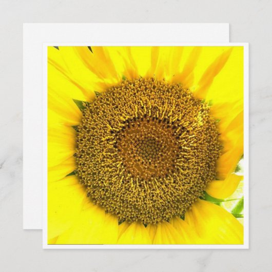 ひまわりセンター (正面/裏面)