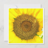 ひまわりセンター (正面)