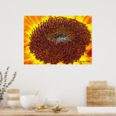 ひまわりセンター ポスター (キッチン)