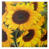 ひまわりタイル タイル (正面)