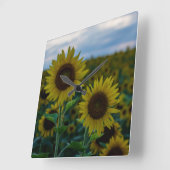 ひまわりデュオクローズアップ スクエア壁時計 (傾斜)