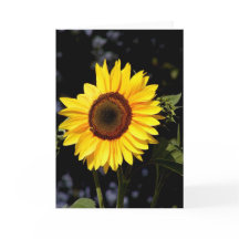 ひまわりノートカード