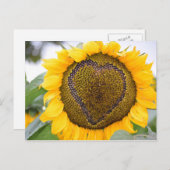 ひまわりハート – ポストカード (正面/裏面)