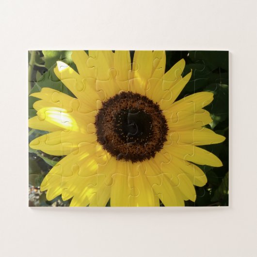 ひまわりパズル ジグソーパズル (横)