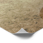 ひまわりパワー ポスター (角)