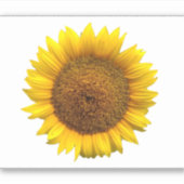 ひまわりビニールのシール シール (正面)