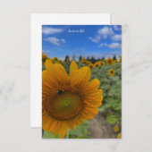 ひまわりビー&ブルースカイ ノートカード (正面/裏面)