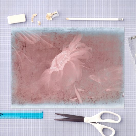 ひまわりピンクグレーヴィンテージアンティーク古いテクスチャ 薄葉紙 (クラフト)