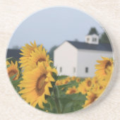 ひまわりファーム砂岩コースター コースター (正面)