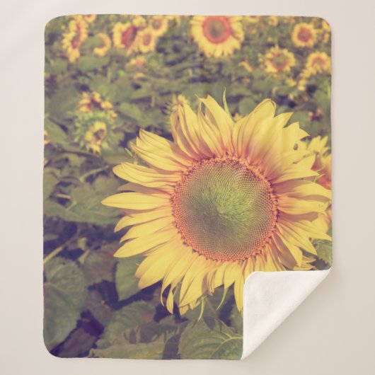 ひまわりフィルター効果付きレトロヴィンテージスタイル シェルパブランケット (正面)