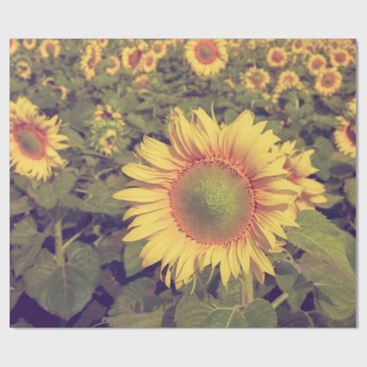 ひまわりフィルター効果付きレトロヴィンテージスタイル ラッピングペーパー (フラット)