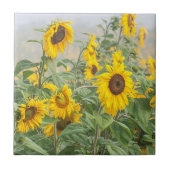 ひまわりフィールドイエローグリーンビューティフルフローラ タイル (正面)