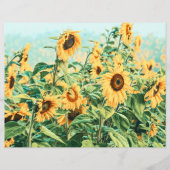 ひまわりフィールドイエローティール（緑がかった色）デクページフローラアート (正面)