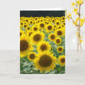 ひまわりフィールドカード カード (黄色い花)