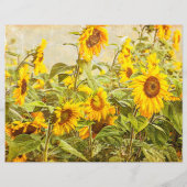 ひまわりフィールドデカップイエローヴィンテージアンティーク (裏面)