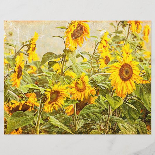 ひまわりフィールドデカップイエローヴィンテージアンティーク (裏面)