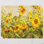 ひまわりフィールドデカップイエローヴィンテージアンティーク (正面/裏面)