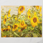 ひまわりフィールドデカップイエローヴィンテージアンティーク (正面)