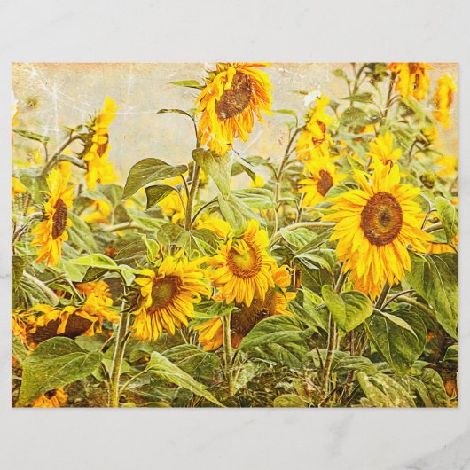 ひまわりフィールドデカップイエローヴィンテージアンティーク (正面)