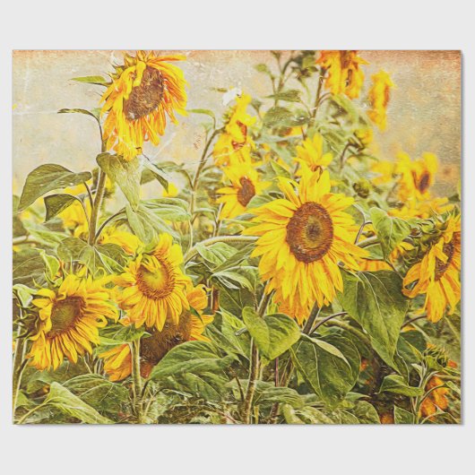 ひまわりフィールドデカップイエローヴィンテージアンティーク ラッピングペーパー (フラット)