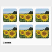 ひまわりフィールド付きシール スクエアシール (シート)