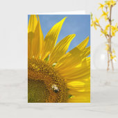 ひまわりフェスティバルフォトグリーティング カード (黄色い花)