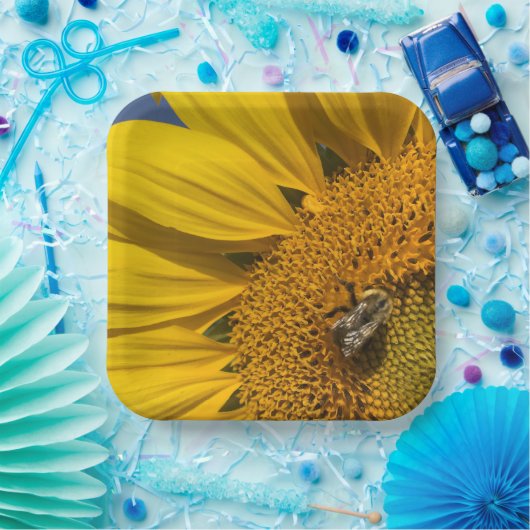 ひまわりフォトサマービー植物園 ペーパープレート (パーティー)