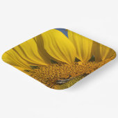 ひまわりフォトサマービー植物園 ペーパープレート (傾斜あり)