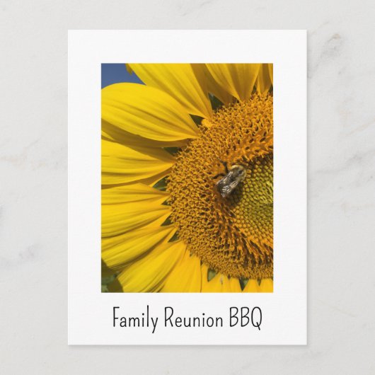 ひまわりフォトサマーファミリー懇親会BBQ インビテーションポストカード (正面)