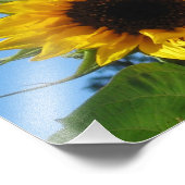 ひまわりフォトプリント – コダックプロフェッショナル紙 フォトプリント            (角)